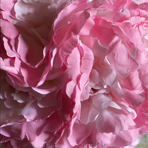 Meet your Posher, L. - Picture 2 of 2